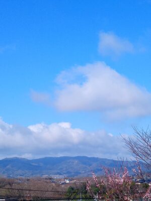 梅越しの空