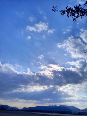 3/19空